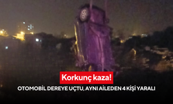 Korkunç kaza! Otomobil dereye uçtu, aynı aileden 4 kişi yaralı