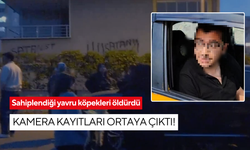Sahiplendiği yavru köpekleri öldürdü, kamera kayıtları ortaya çıktı!