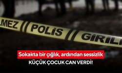 Otomobil küçük bedeni ezdi, sürücü fark etmedi: 6 yaşındaki çocuk hayatını kaybetti