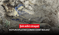 Yabani hayvanlar parçalamış! Tabanca ile vurulup gömülen ceset, çoban tarafından bulundu!