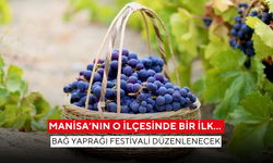 Manisa’nın o ilçesinde bir ilk… Bağ Yaprağı Festivali düzenlenecek