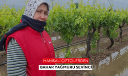 Manisalı çiftçilerden Bahar yağmuru sevinci