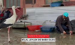 Yaren'in rakibiydi Bilal leylek de baba oldu