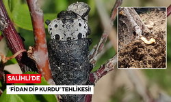 Salihli İlçe Tarım ve Orman Müdürlüğü’nden meyve üreticilerine kritik uyarı
