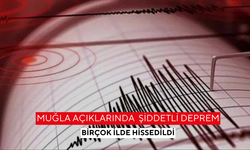 Muğla açıklarında şiddetli deprem, birçok ilde hissedildi