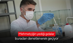 Mehmetçiğin yediği gıdalar buradan denetlenerek geçiyor