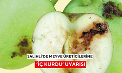 Salihli’de meyve üreticilerine ‘iç kurdu’ uyarısı