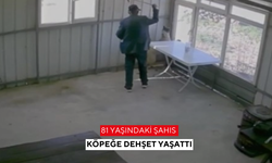 81 yaşındaki şahıs köpeğe dehşet yaşattı