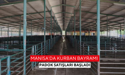 Manisa'da Kurban Bayramı padok satışları başladı