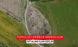 Tümülüs 1.derece arkeolojik sit alanı ilan edildi