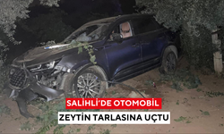 Salihli’de otomobil zeytin tarlasına uçtu, sürücü yaralandı