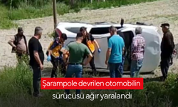 Şarampole devrilen otomobilin sürücüsü ağır yaralandı