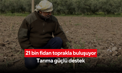 Yunusemre belediyesi'nden üreticiye can suyu... 21 bin fidan toprakla buluşuyor