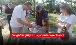 Gökyüzü bayram etti | Sarıgöl’de uçurtmalar şenliği