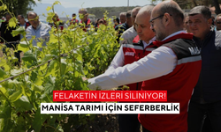 Donun ardından umut yeşeriyor... Manisa’da yaralar sarılıyor