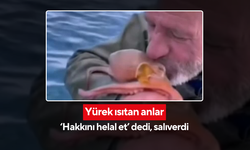 Balıkçıdan ahtapota sevgi dolu veda! 'Hakkını helal et' dedi, salıverdi...