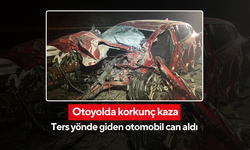 Geri dönüp ters yönde gitti, 4 kişi hayatını kaybetti