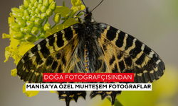 Doğa fotoğrafçısından Manisa’ya özel muhteşem fotoğraflar