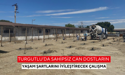 Turgutlu’da sahipsiz can dostların yaşam şartlarını iyileştirecek çalışma