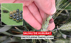 Salihli’de hububat üreticilerine önemli uyarı