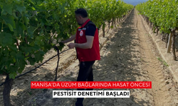 Manisa’da Üzüm bağlarında hasat öncesi pestisit denetimi başladı