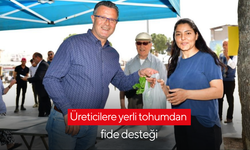 Alaşehir'de üreticilere yerli tohumdan fide desteği