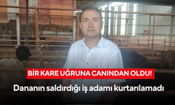 Manisa’yı yasa boğan ölüm! Kurbanlık hayvan meclis üyesi iş adamını hayattan kopardı