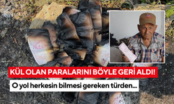Kül olan paralarını böyle geri aldı! O yol herkesin bilmesi gereken türden...