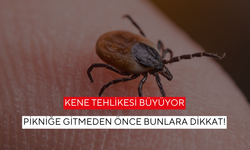Kenelere karşı görünmez olun… Uzmanlar basit ama etkili yolu açıkladı