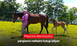 Milyonluk atları büyüttü, yarışlarını nefesini tutup izliyor