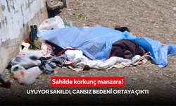 Sahilde korkunç manzara! Uyuyor sanıldı, cansız bedeni ortaya çıktı