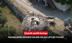 Çeyrek asırlık komşu: Mahallenin simgesi haline gelen leylek yuvası
