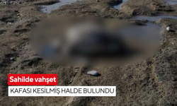 Sahilde vahşet: Kafası kesilmiş halde bulundu