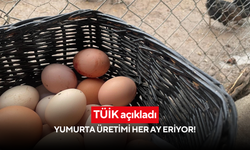TÜİK açıkladı: Yumurta üretimi her ay eriyor!