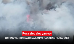 Foça alev alev yanıyor: Orman yangınına havadan ve karadan müdahale