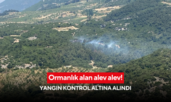 Ormanlık alan alev alev! Yangın kontrol altına alındı