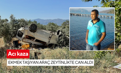 Acı kaza: Ekmek taşıyan araç zeytinlikte can aldı