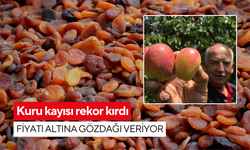 Kuru kayısı rekor kırdı: Fiyatı altına gözdağı veriyor