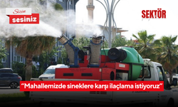 “Mahallemizde sineklere karşı ilaçlama istiyoruz”