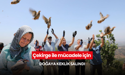 Çekirge ile mücadele için doğaya keklik salındı