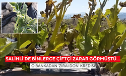 Salihli'de binlerce çiftçi zarar görmüştü... O bankadan 'Zirai Don' kredisi