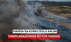 Manisa'da tarım arazisinde büyük yangın