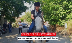 Şehzadeler Kaymakamı, kırsal mahallelere atla gidiyor