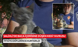Salihli’de baca içerisine düşen kedi yavrusu itfaiye ekiplerince kurtarıldı