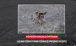 Köpeğin dronla imtihanı: Uçan cismi fark edince peşine düştü