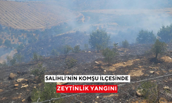 Salihli’nin komşu ilçesinde zeytinlik yangını: Havadan ve karadan müdahaleyle söndürüldü