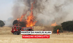 Salihli'nin komşu ilçesinde makilik alan yangını korkuttu
