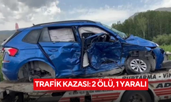 Trafik kazası: 2 ölü, 1 yaralı