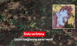 Dolu ve fırtına bazı üzüm bağlarına zarar verdi