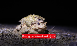 Bacağı kendisinden değerli